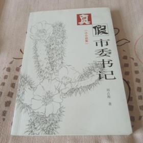 真假市委书记（小小说集）