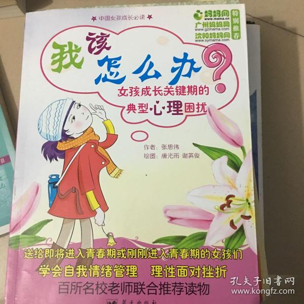 我该怎么办？：女孩成长关键期的典型心理困扰