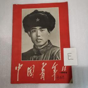 中国青年1966年14