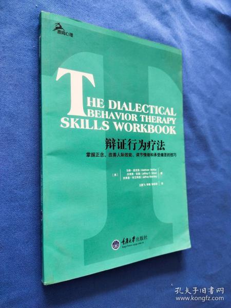 辩证行为疗法：掌握正念、改善人际效能、调节情绪和承受痛苦的技巧