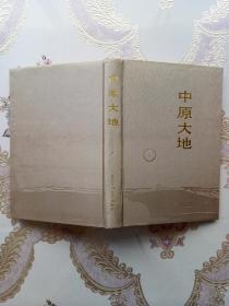 中原大地（北京长篇小说创作丛书）