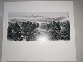 6开**宣传画：林海朝晖（中国画）（  38 × 32 cm）