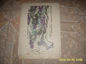 80年代老画：葡萄 8开