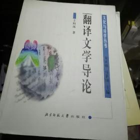 翻译文学导论