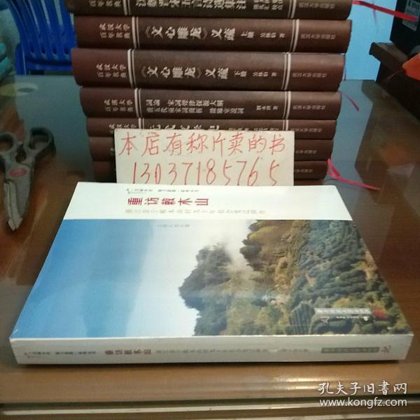 重访敕木山——浙江景宁敕木山村九十年社会变迁调查