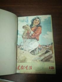 支部生活1956年13-24期