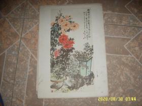 80年代老画：盆菊 8开