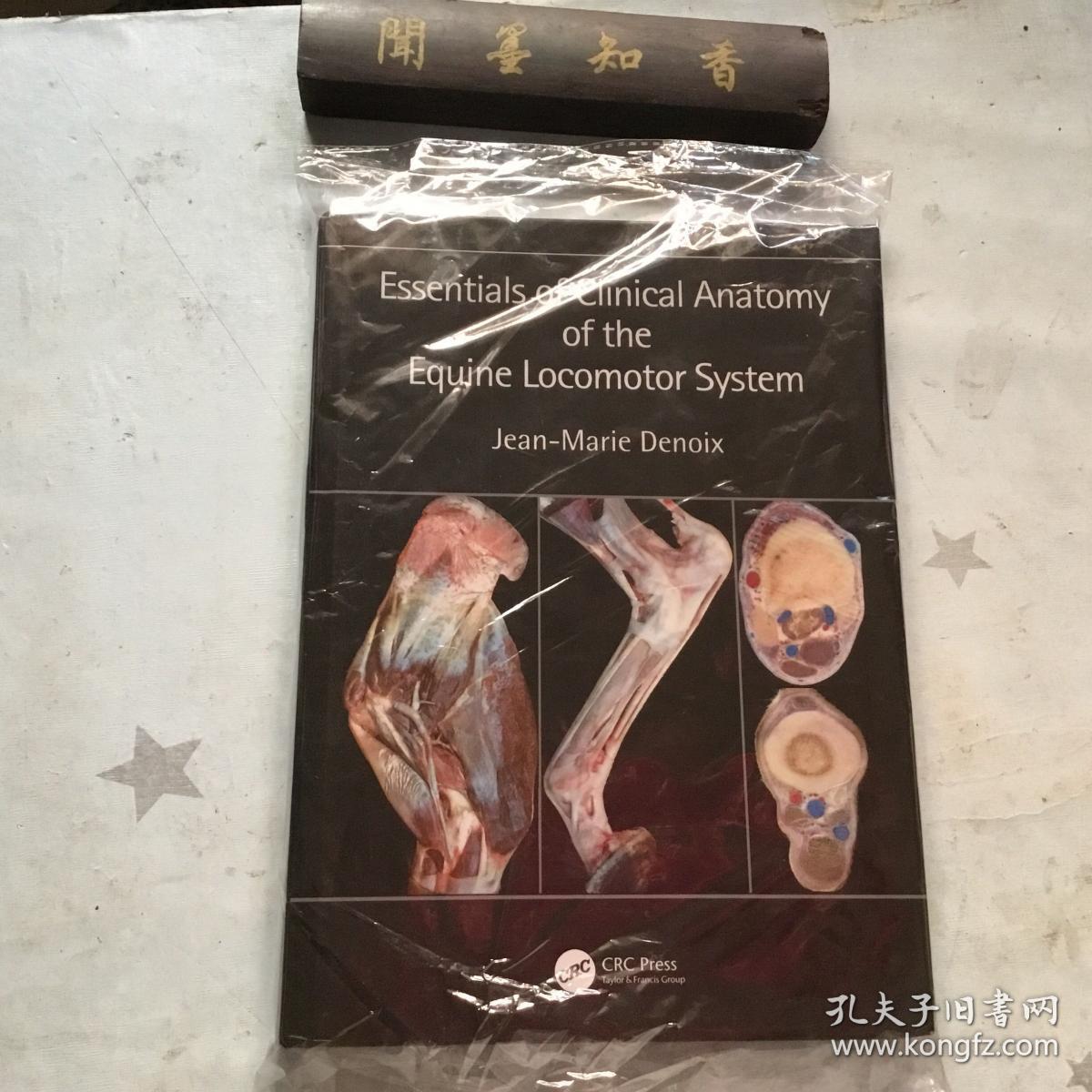 Essentials of Clinical Anatomy of the Equine Locomotor System      内页未翻阅！