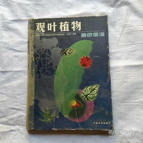 观叶植物原色图谱(精)