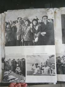 图片散页：毛主席，周总理和民兵在一起等【4幅】