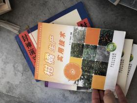 柑橘生产实用技术--广东“农家书屋”系列