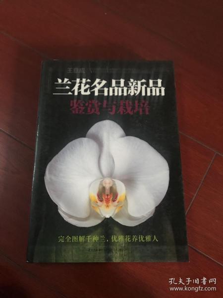 兰花名品新品鉴赏与栽培