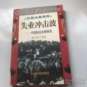 失业冲击波:中国就业发展报告