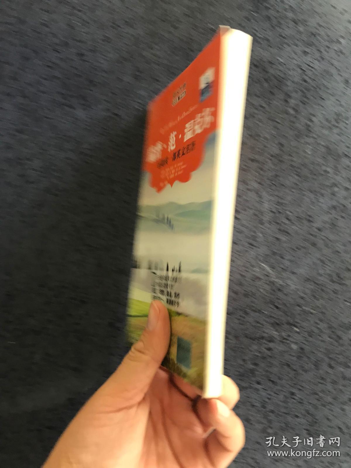 瑞普.范.温克尔