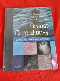 Breast Core Biopsy : A Pathologic-Radiologic Approach      （大16开，硬精装）  【详见图】