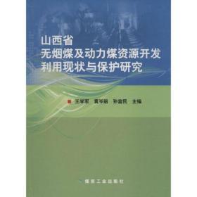 山西省无烟煤及动力煤资源开发利用现状与保护研究