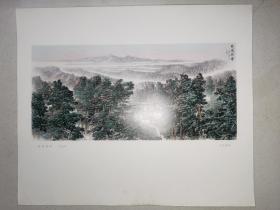 6开**宣传画：林海朝晖（中国画）（  38 × 32 cm）