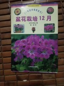 盆花栽培12月：一年四季观赏花卉