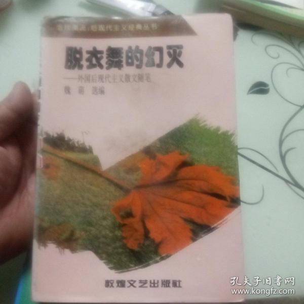 脱衣舞的幻灭:外国后现代主义散文随笔