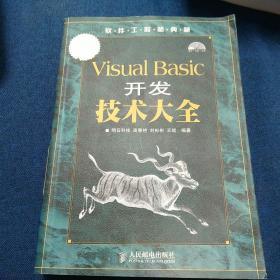 Visual Basic开发技术大全