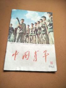 中国青年1964年16期