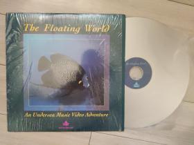 白胶大碟  Tbe Floating world