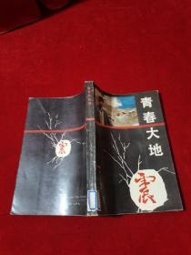青春大地震