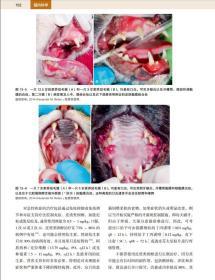 猫内科学 第7版 猫病诊断和治疗 猫病图解猫病大全书  猫博士的猫病学 9787570608546