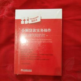 小额贷款实务操作与法律风险防控