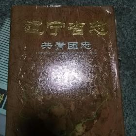 辽宁省志～～共青团志