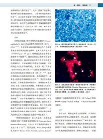 猫内科学 第7版 猫病诊断和治疗 猫病图解猫病大全书  猫博士的猫病学 9787570608546