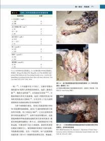 猫内科学 第7版 猫病诊断和治疗 猫病图解猫病大全书  猫博士的猫病学 9787570608546