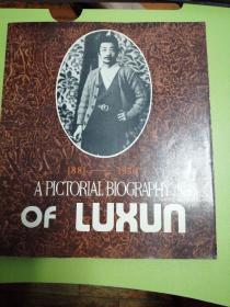 1881—1936A PICTORIAL BIOGRAPHY OF LU  XUN鲁迅诞辰一百周年 英文版画册