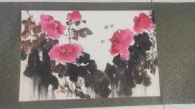 著名画家张立奎 花卉作品一幅