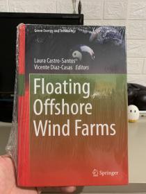 Floating Offshore Wind Farms（直译：海上浮式风电场）