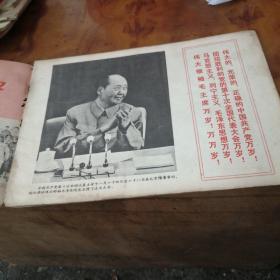 团结胜利的党的第十次全国代表大会万岁！ 【工农兵画报（1973年第17期）】