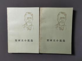 契诃夫小说选（共两册）