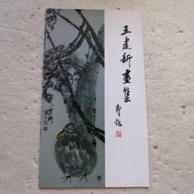 王建新画集