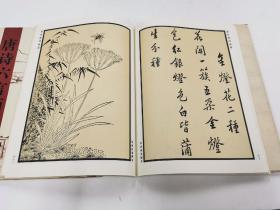 明清画谱撷萃  草本花诗画谱 唐诗六言画谱 名公扇谱 （3本合售58元）