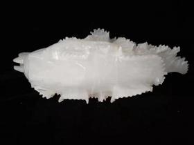 精品和田玉雕刻“百财”摆件，玉质细腻油润底庄干净，雕刻精美寓意深长hbz邮费自理