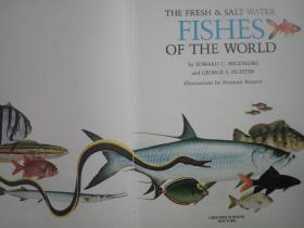 THE FRESH & SALT WATER FISHES OF THE WORLD【世界淡水和咸水鱼类】