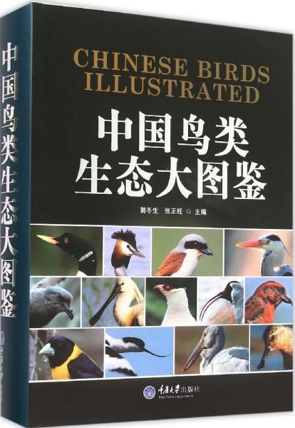 中国鸟类生态大图鉴