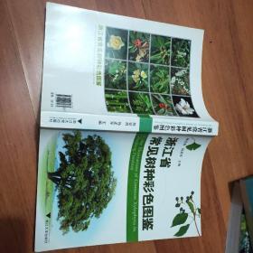 浙江省常见树种彩色图鉴