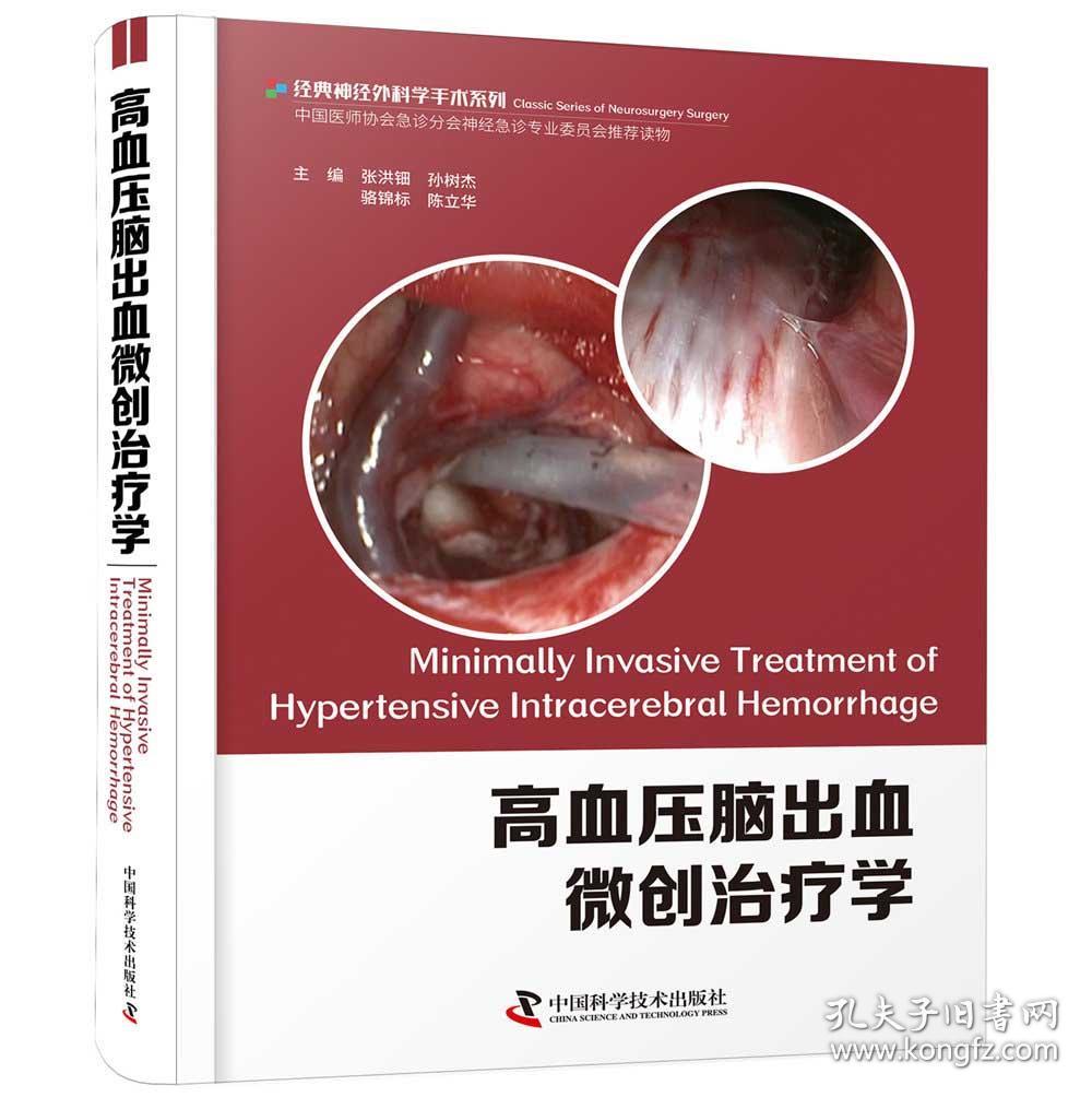 高血压脑出血微创治疗学（精装）