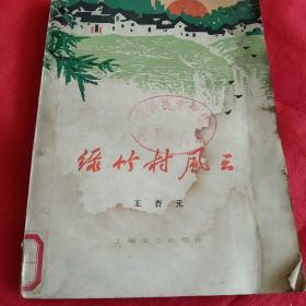 70年代小说  绿竹村风云第一集