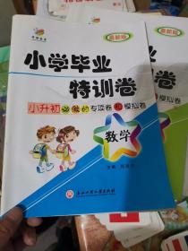 小学毕业特训卷. 数学