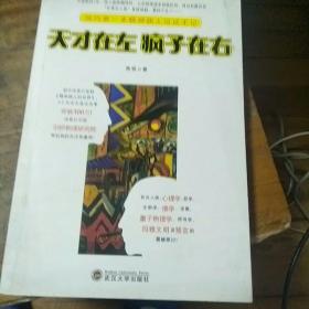 天才在左 疯子在右：国内第一本精神病人访谈手记