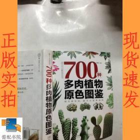 700种多肉植物原色图鉴