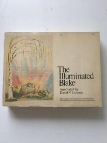 Illuminated Blake: William Blakes Complete Illuminated Works with a Plate-by-Plate Commentary