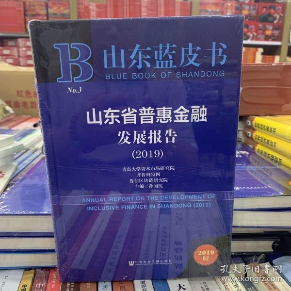 山东蓝皮书：山东省普惠金融发展报告（2019）